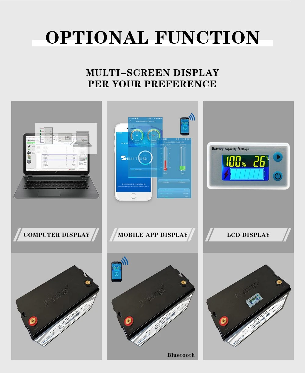 Lithium Iron Phosphate Battery 12V 100ah 200ah 300ah LiFePO4 Solar Deep Cycle Battery with Bluetooth for Solar/Marine/RV