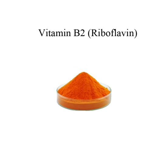 CAS 83-88-5 Riboflavin-Natriumphosphat